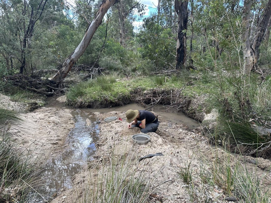 Gemstone Fossicking in Torrington, New South Wales