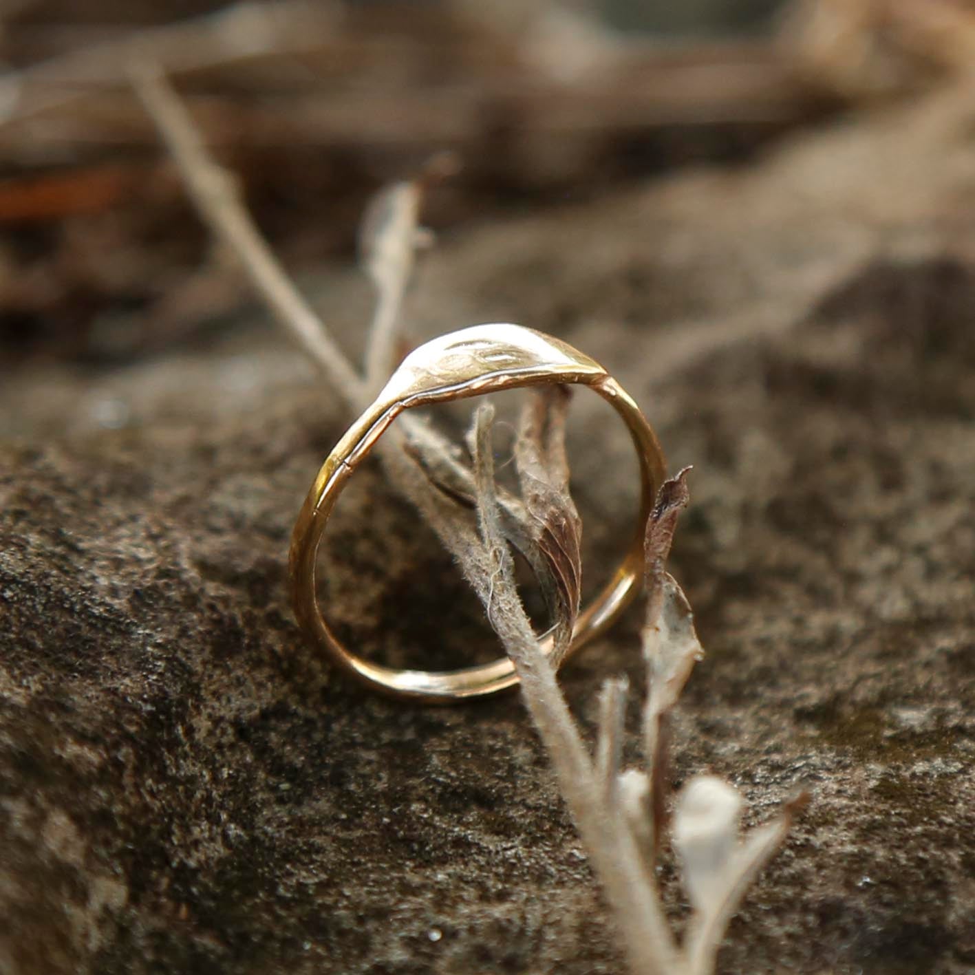 solid gold ring | H