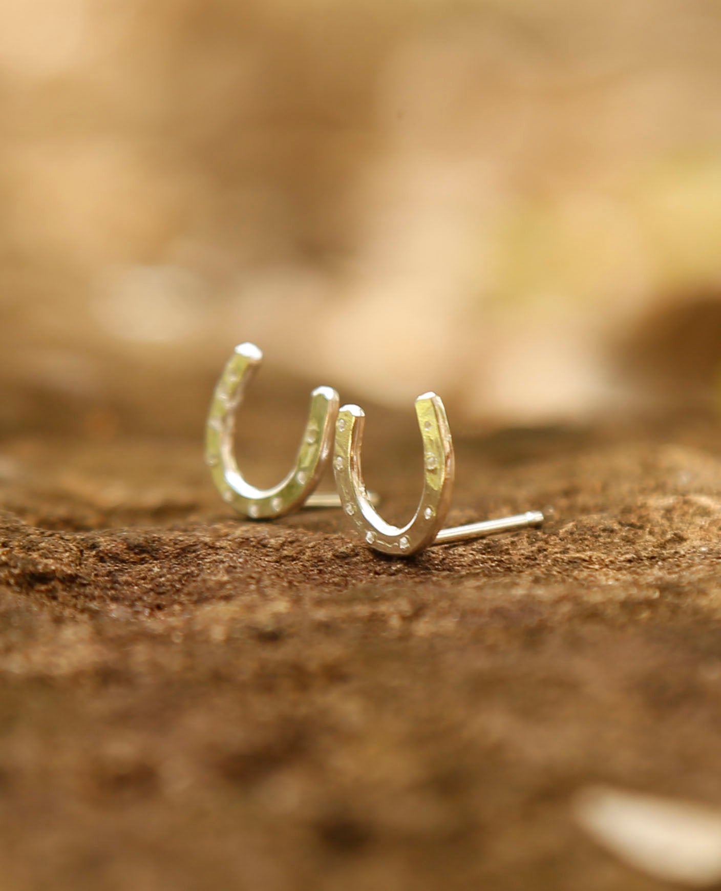 line earrings | horse shoe | solid silver