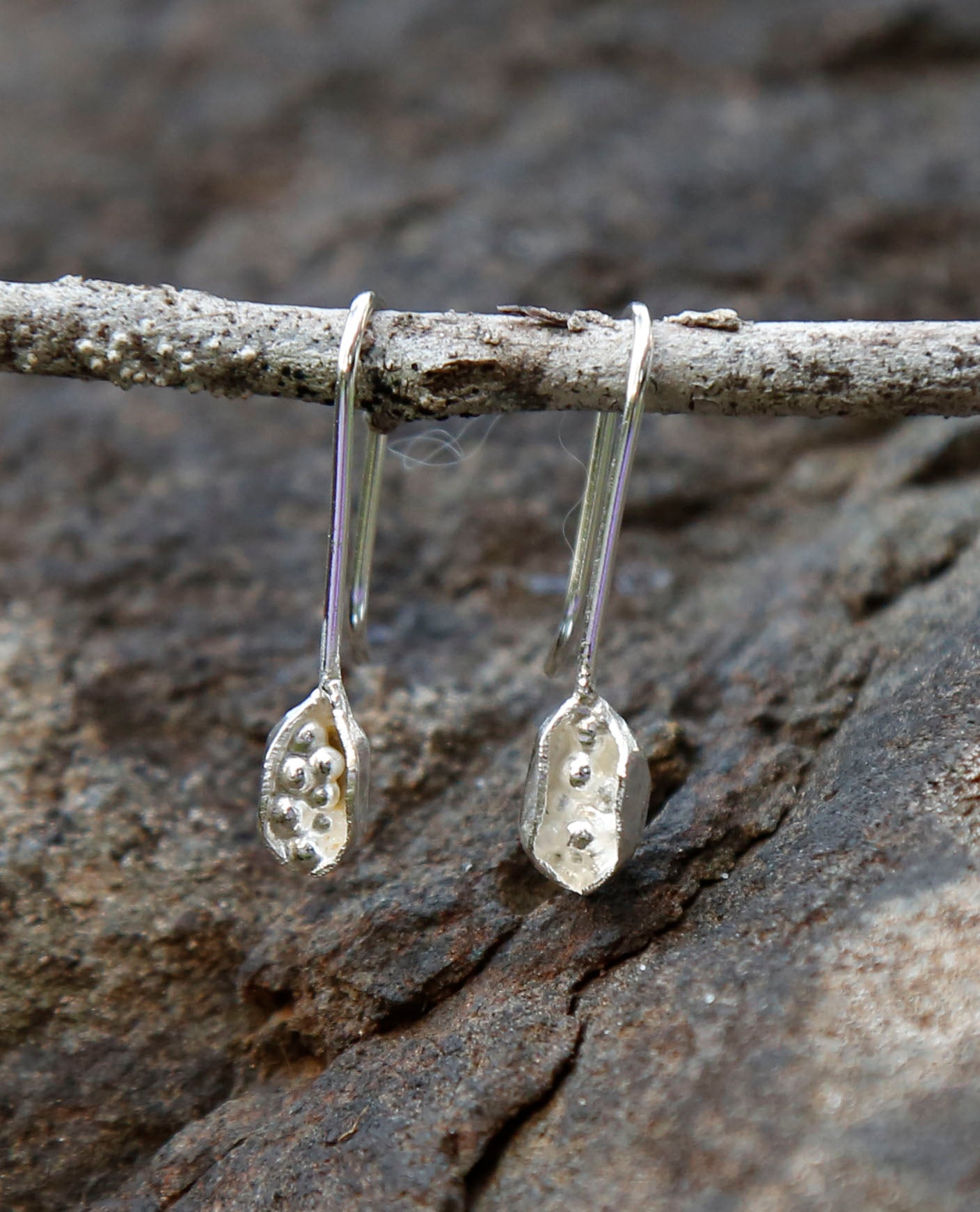 kurrajong seedpod earrings | solid silver