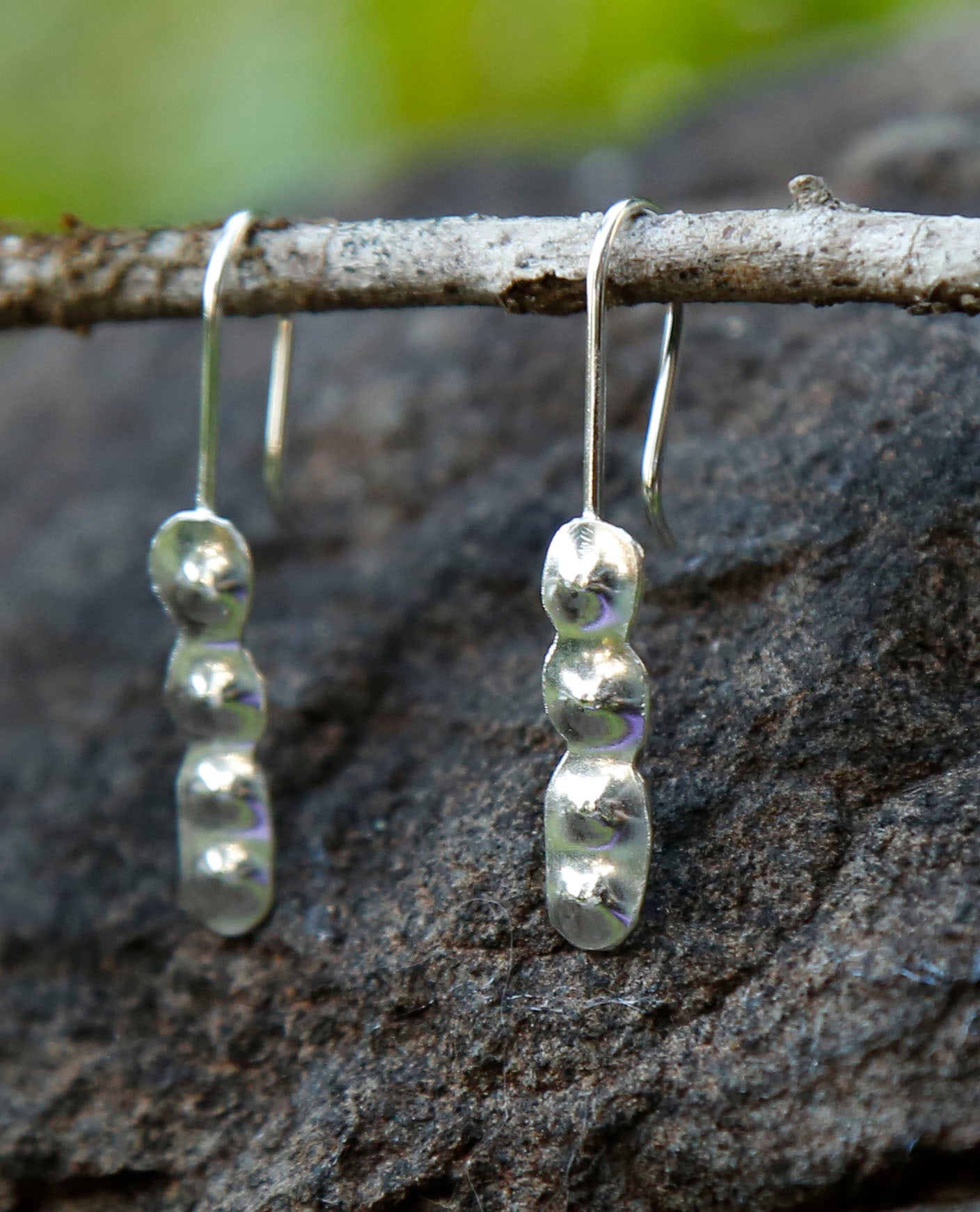 calamandra wattle seedpod earrings | solid silver