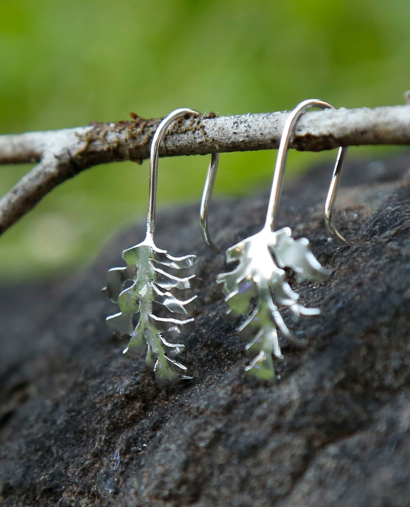 mulga fern earrings | solid silver