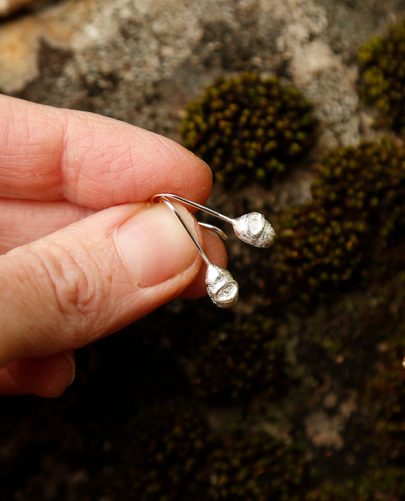 banksia seedpod earrings | solid silver