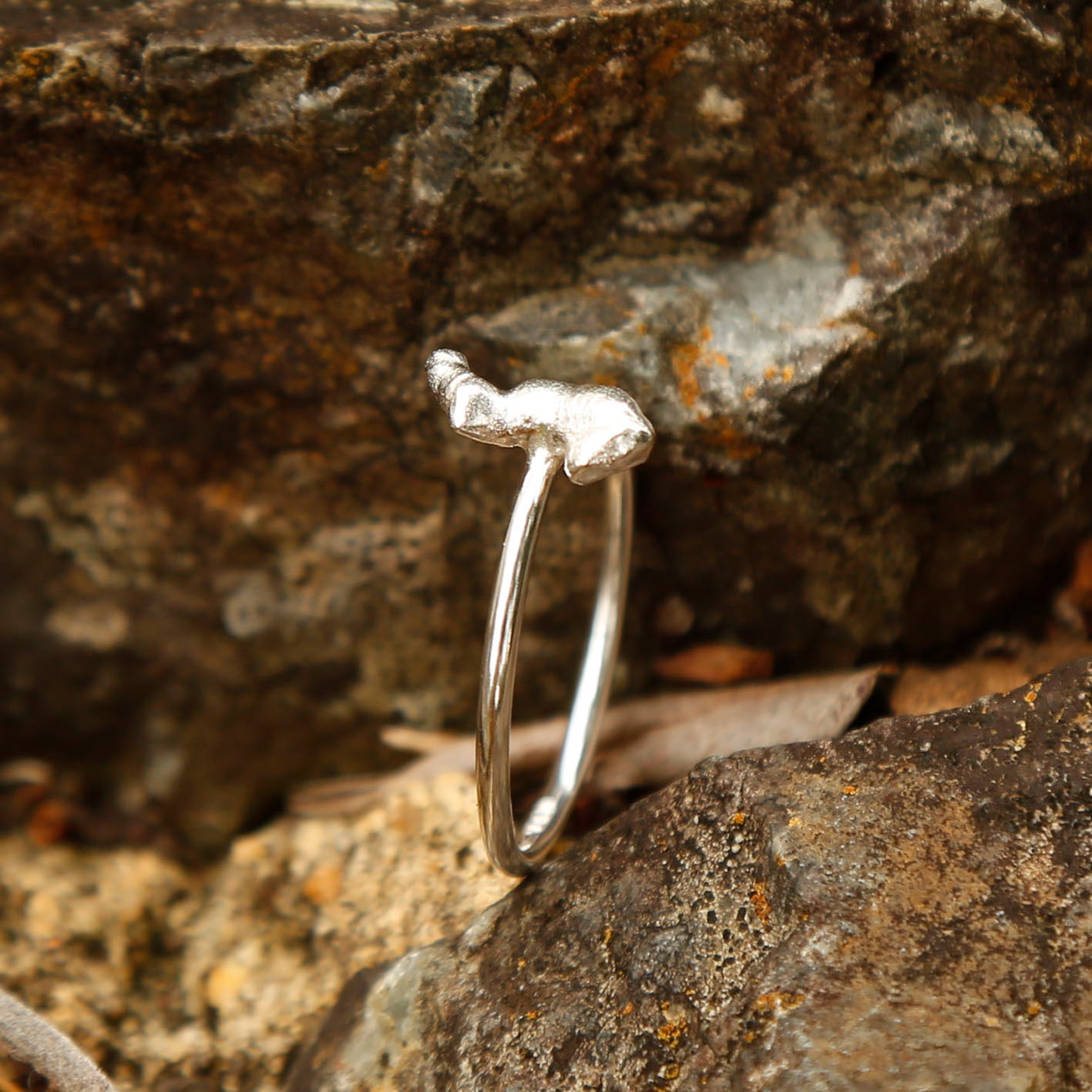 silver seahorse ring | reef #6
