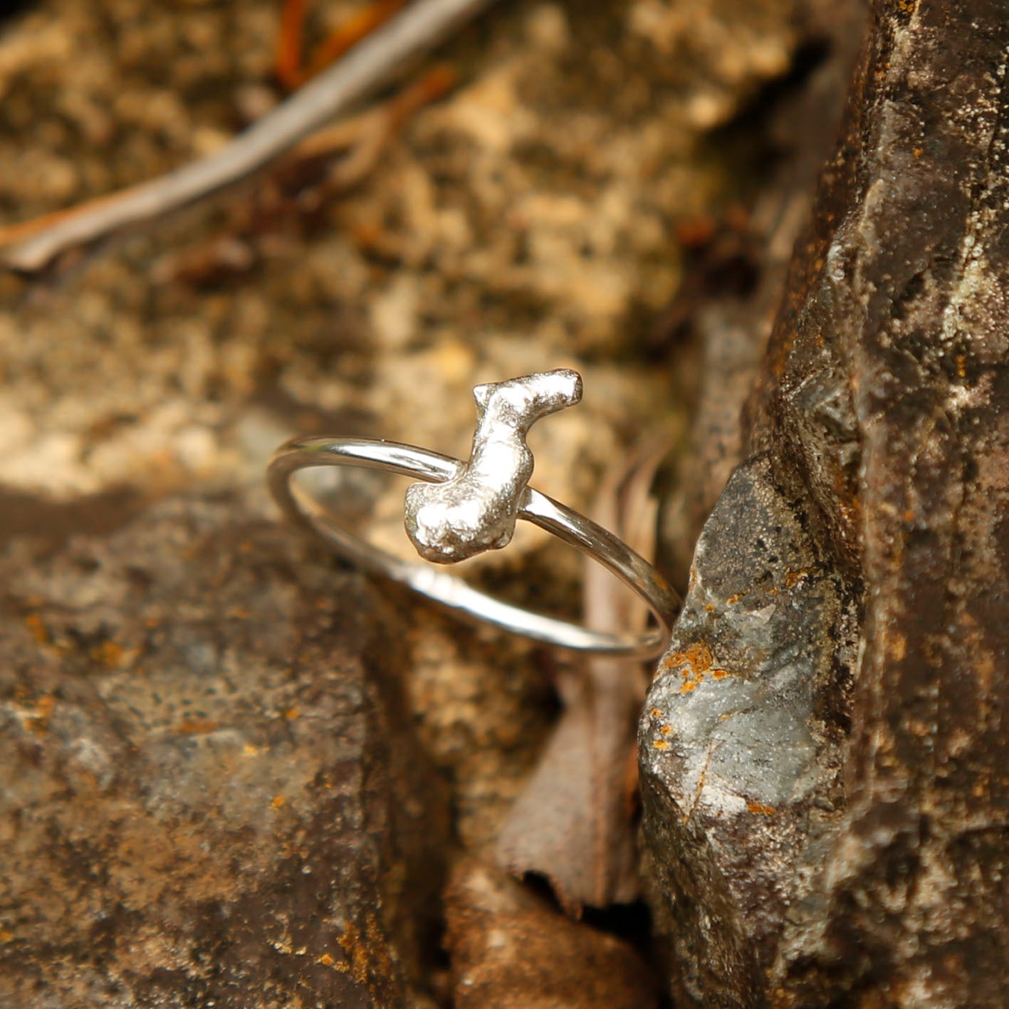 silver seahorse ring | reef #6