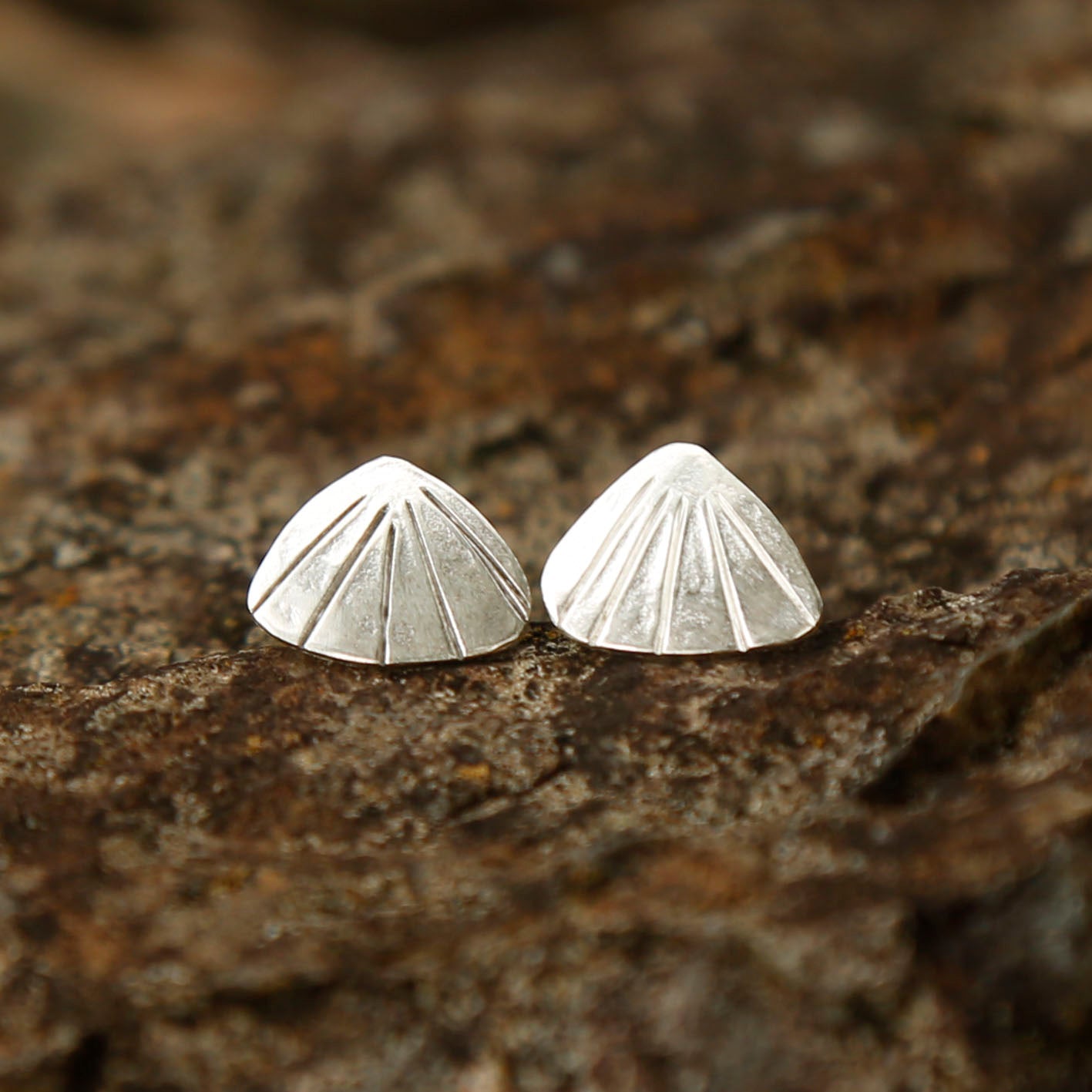 clam studs | solid silver