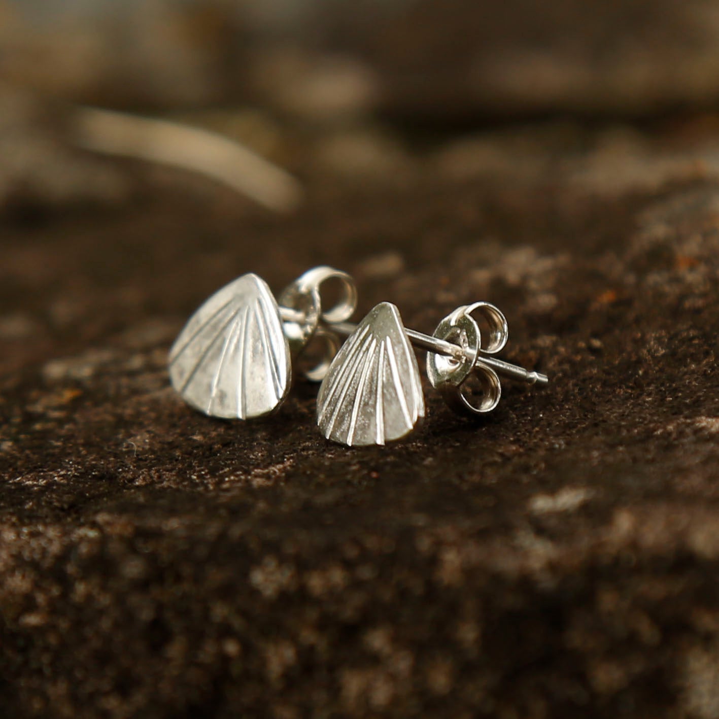 clam studs | solid silver