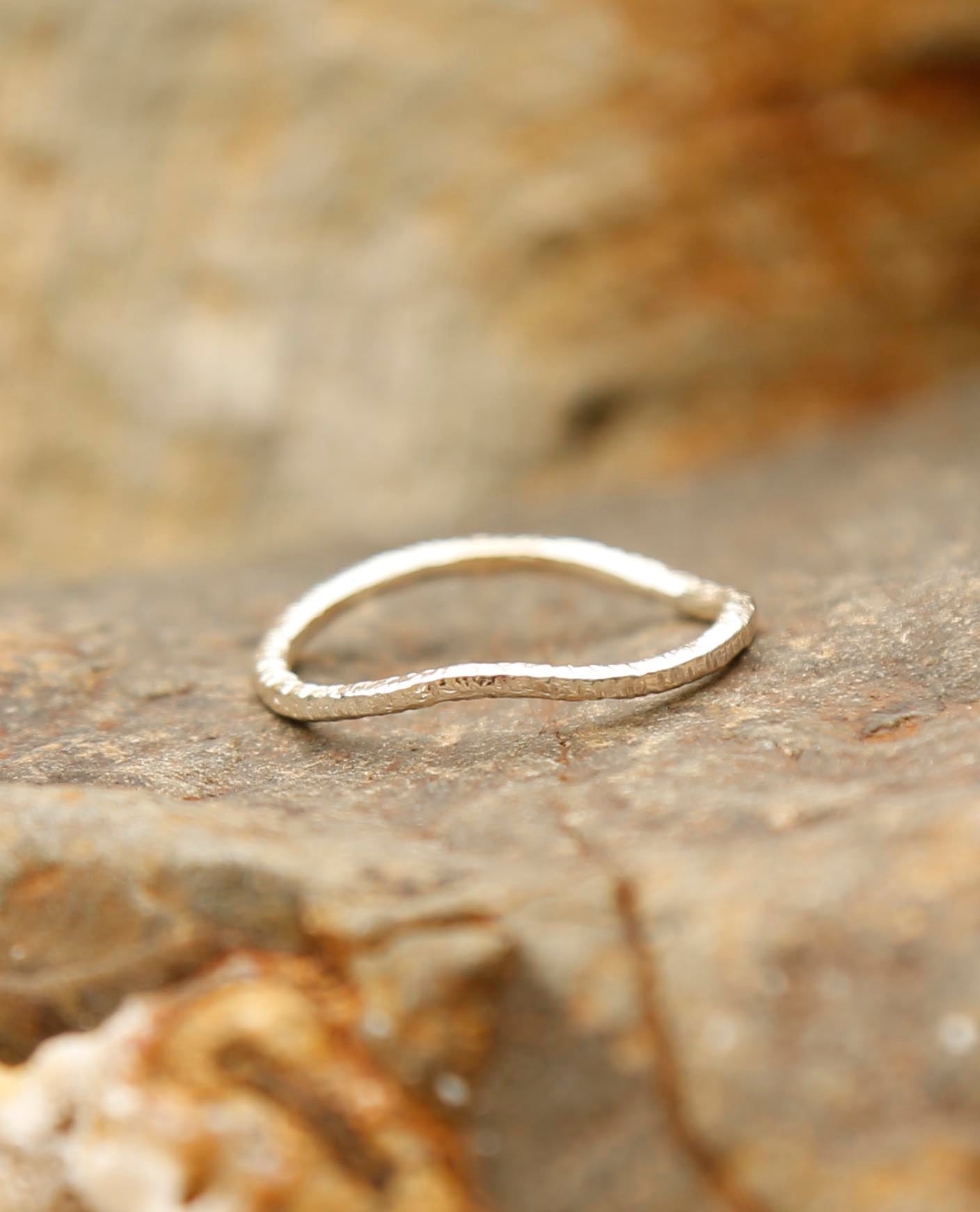 session | private class x 1 | online