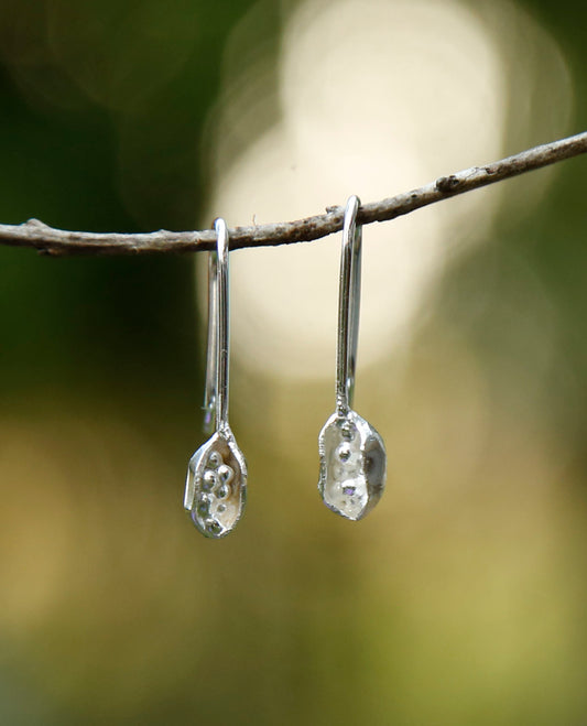kurrajong seedpod earrings | solid silver