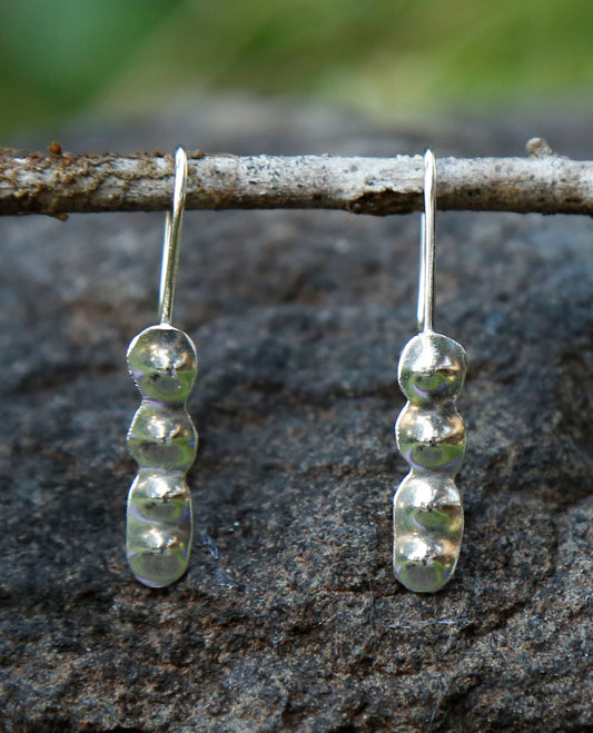 calamandra wattle seedpod earrings | solid silver