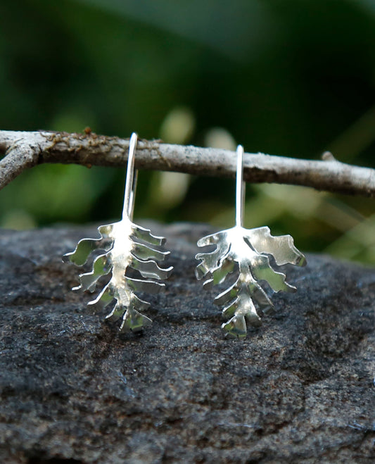 mulga fern earrings | solid silver