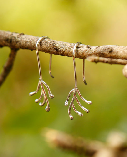 kangaroo paw earrings | solid silver