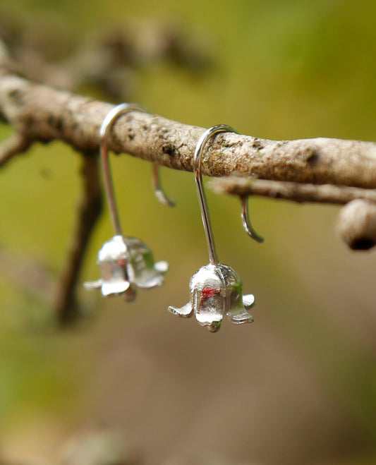 kurrajong flower earrings | solid silver