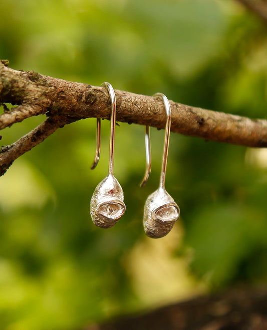 banksia seedpod earrings | solid silver